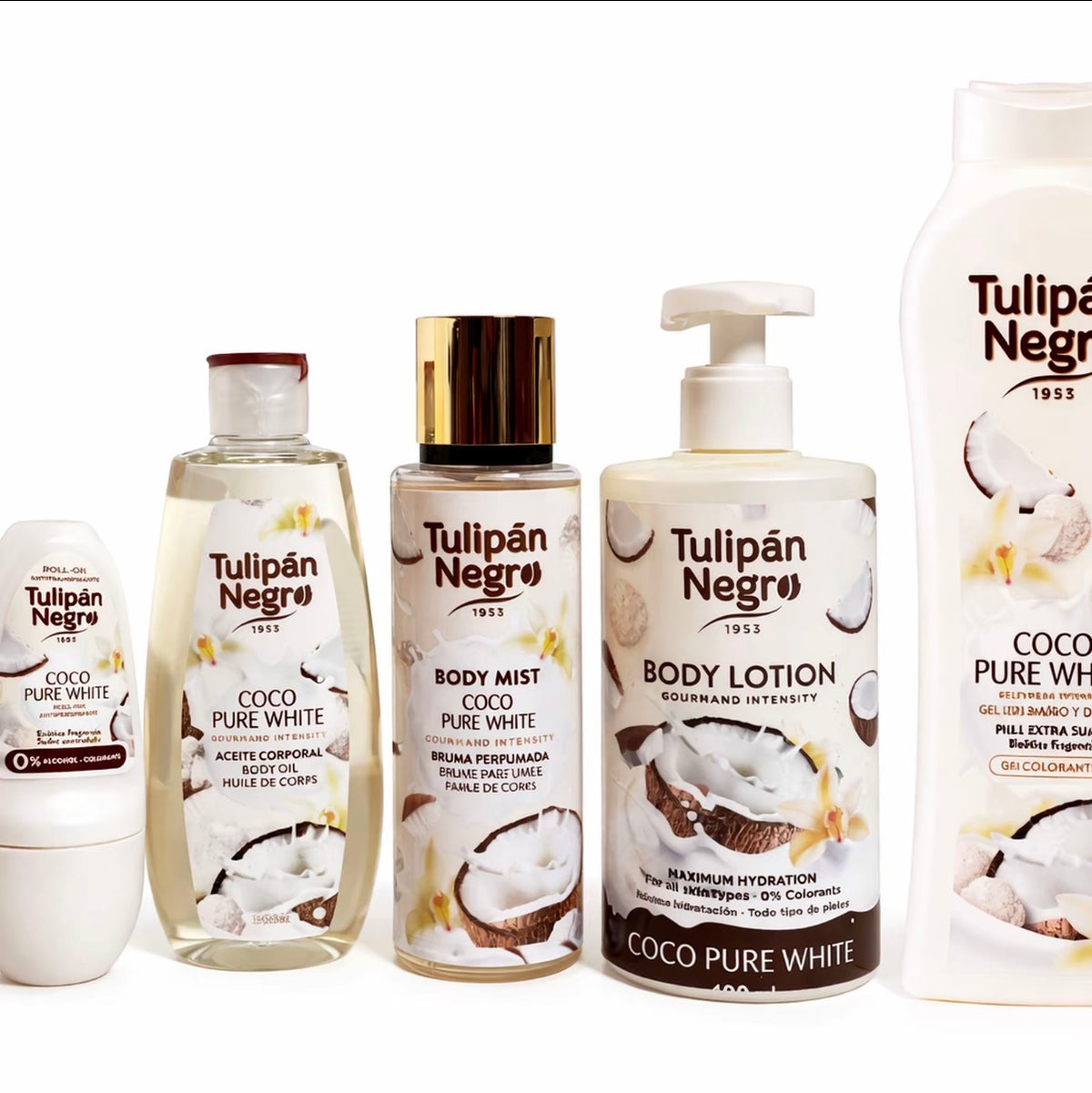 Lot tulipan negro