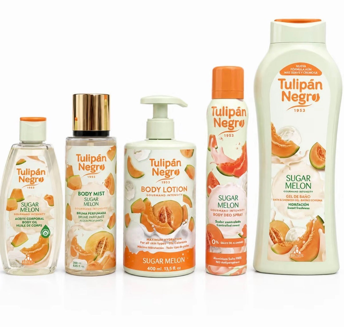Lot tulipan negro