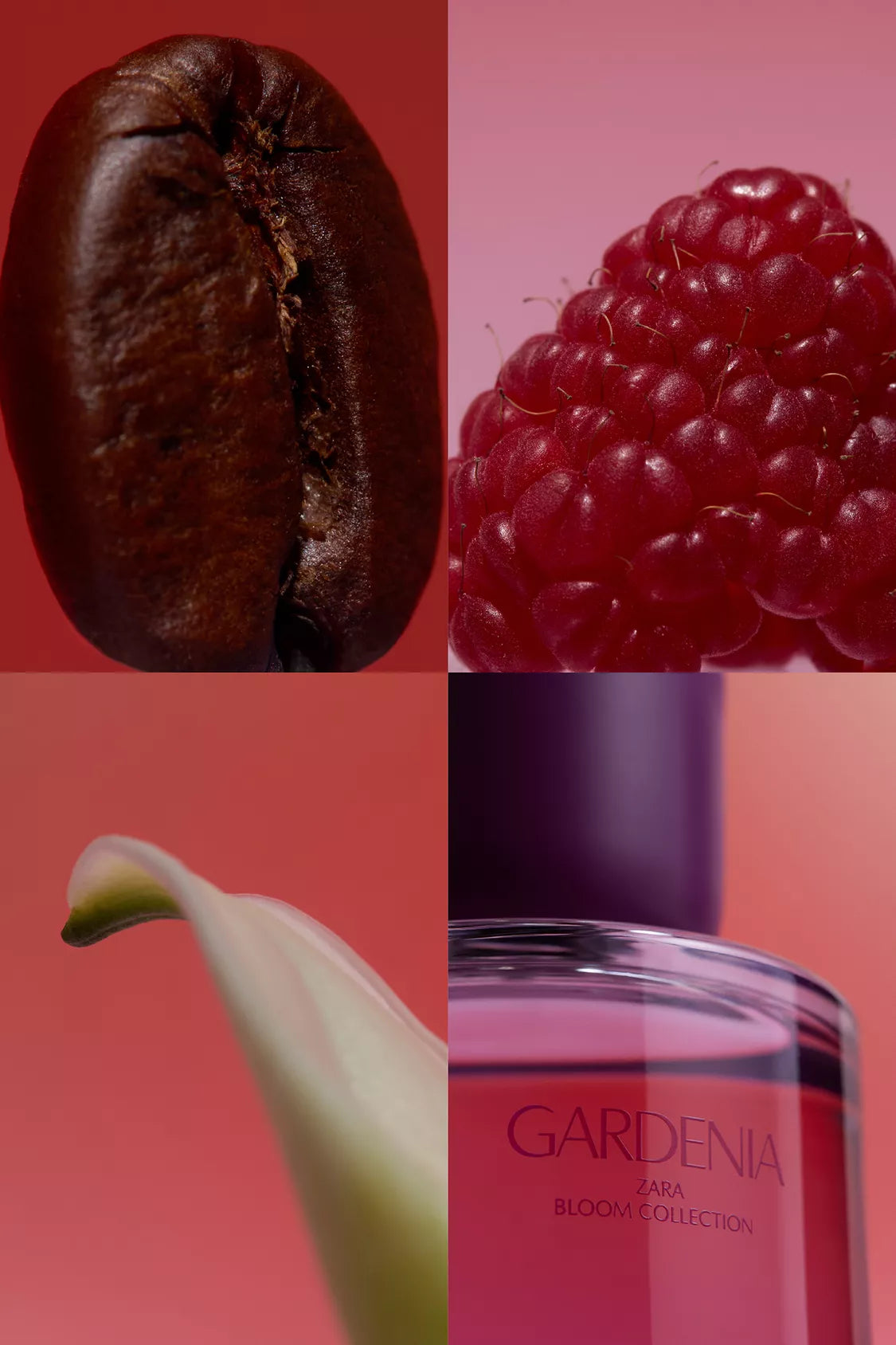 Parfums ZARA GARDÉNIA